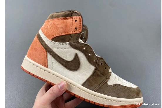 1 Clay SP Jordan FQ2941-200   FQ2941-200 Retro Dusted High OG 0210